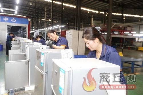 科技賦能，技術(shù)開發(fā)驅(qū)動冷產(chǎn)業(yè)轉(zhuǎn)型升級新篇章